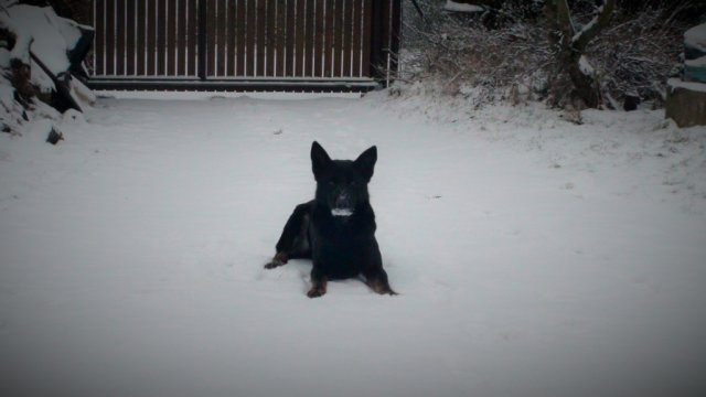 Ilo od Svatováclava